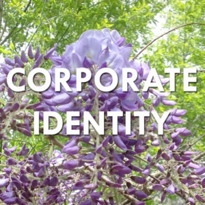 Corporate Identity - Sandra Wetterich